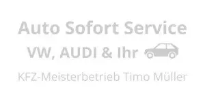 Auto Sofort Service grau